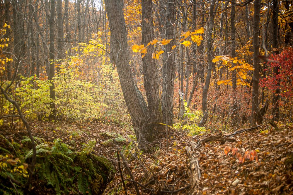 Photograph by Саша Литвин