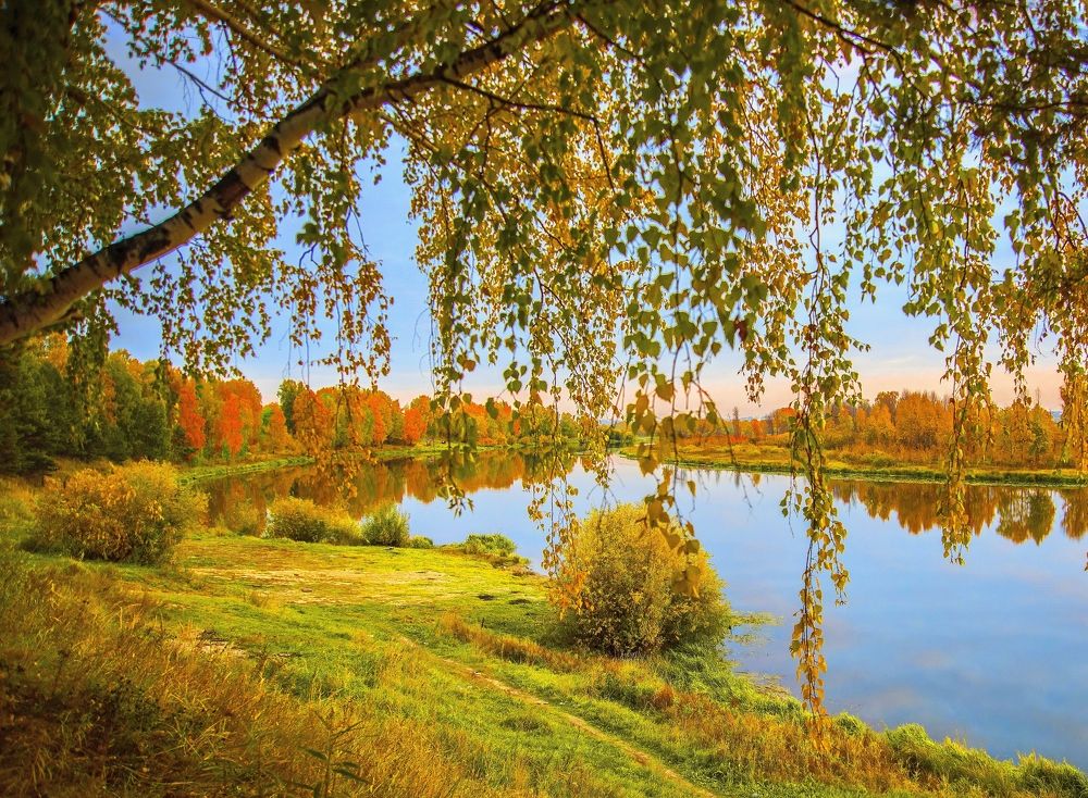 Photograph by vladilenoff