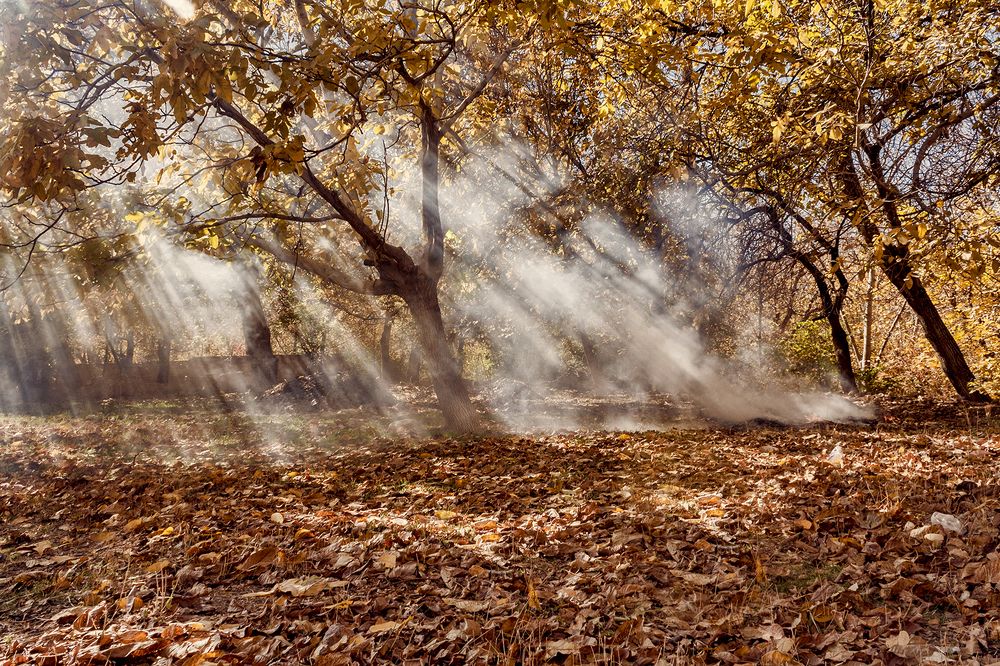 Photograph by mohamadreza shakibaei