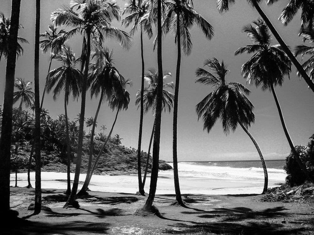 Photograph by Marcio Silveira