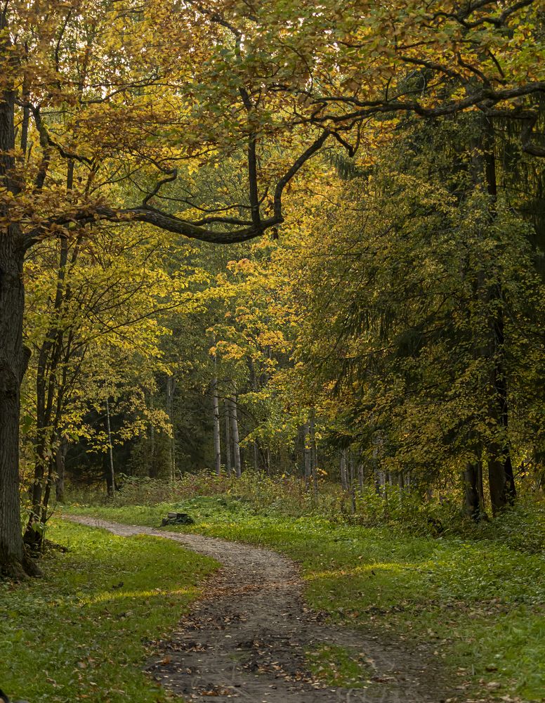 Photograph by Юлия Куликова
