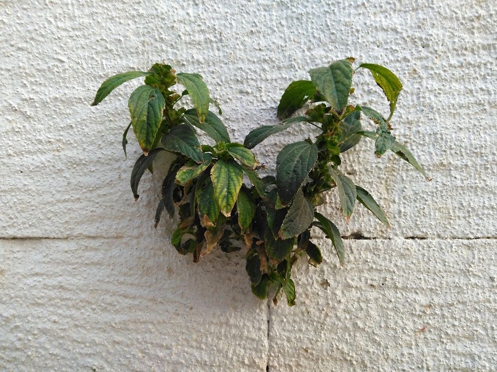 Photograph by Marziyeh Nasiri