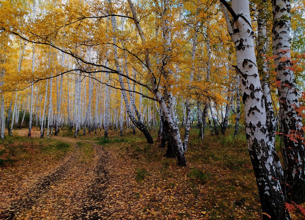 Photograph by Зоя Быкова