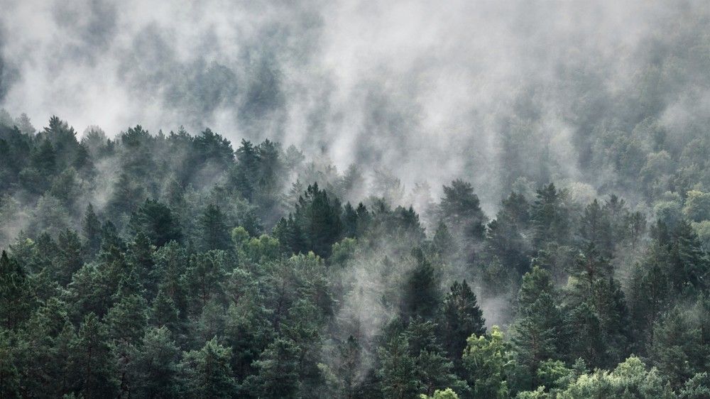 Photograph by Василий Дворецкий