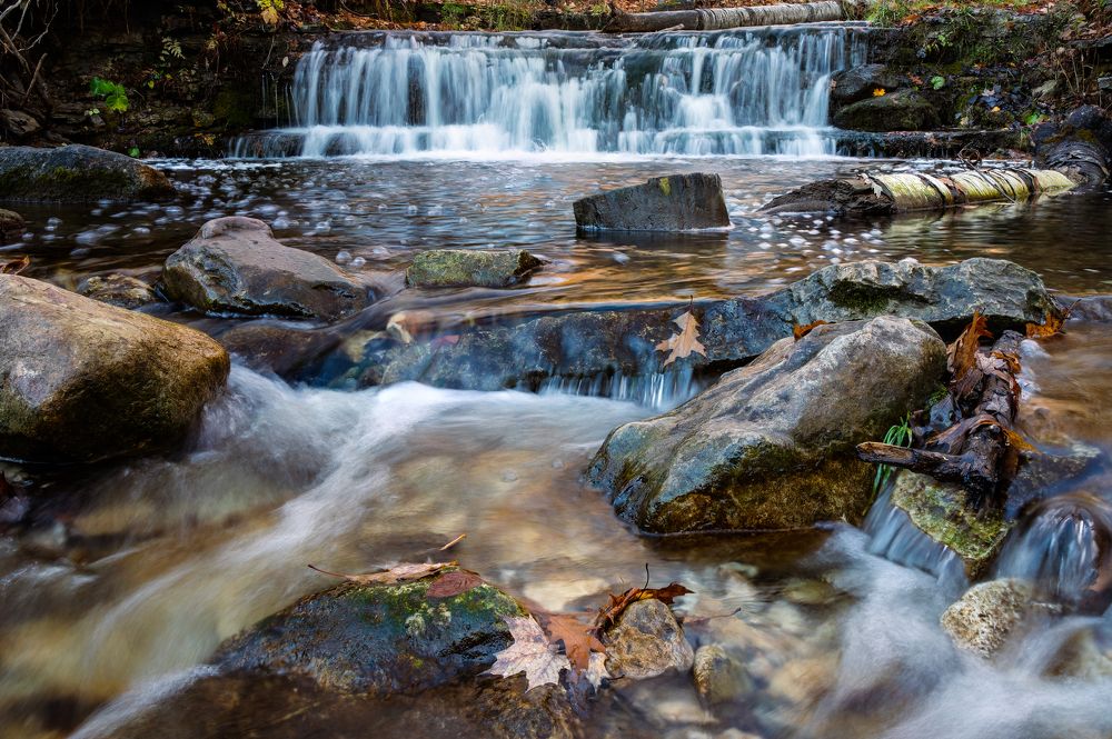 Photograph by Greg Noakes