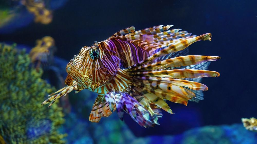 Photograph by Albert Zhager