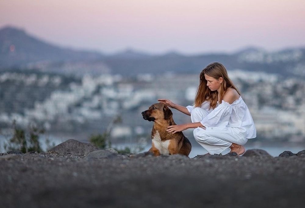 Самый верный друг