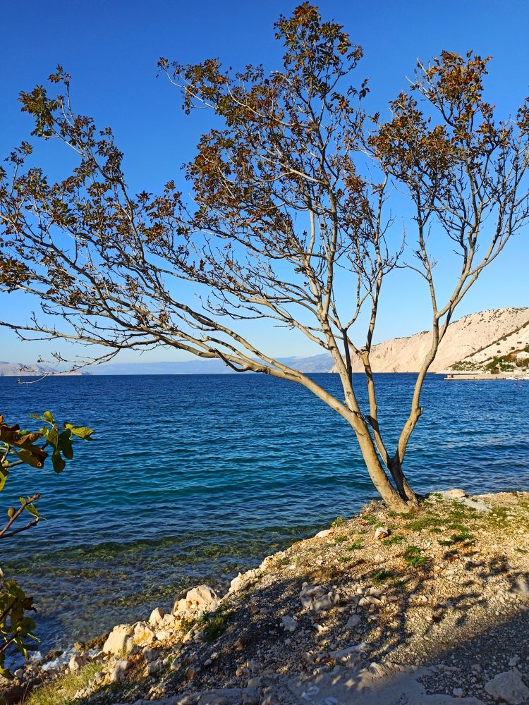 Photograph by Helena