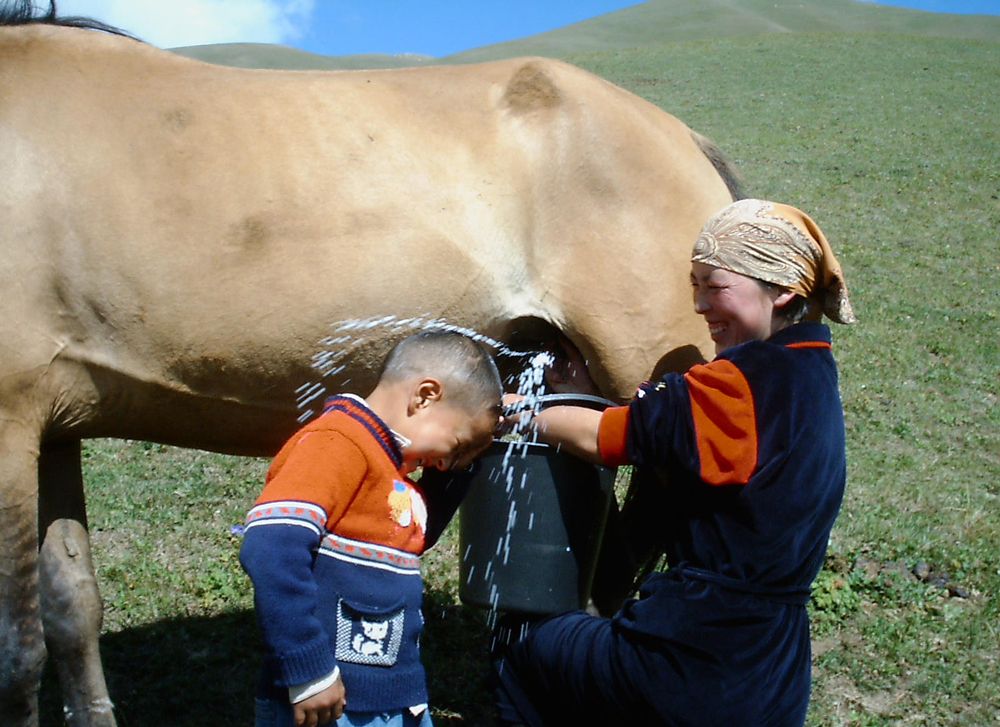 Мамины шутки!!!