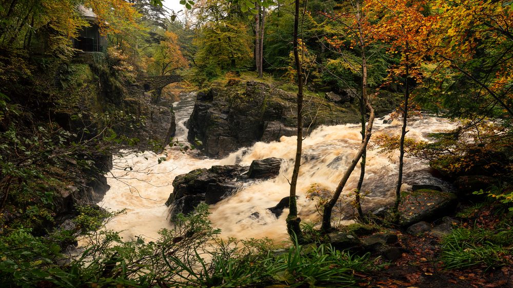 Photograph by Matt Wierzbicki