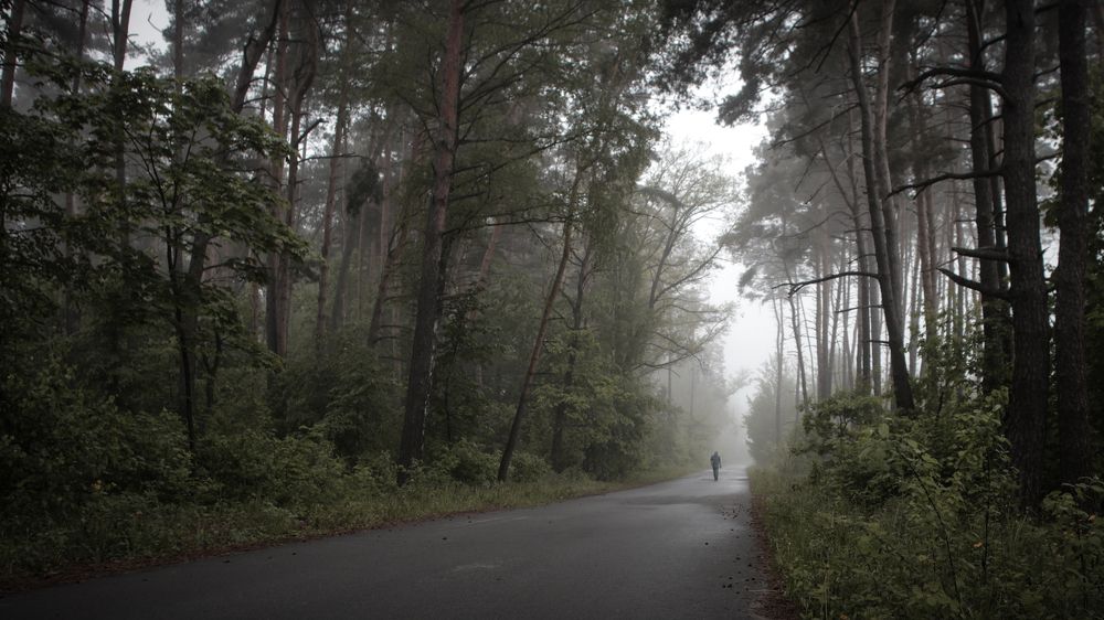 Photograph by Галина Полищук