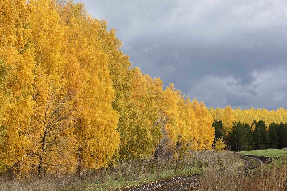 Фотография автора Рамиль Фаттахов