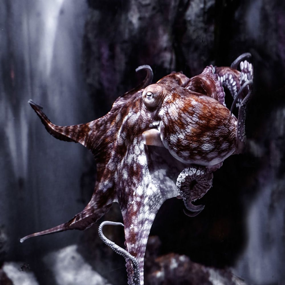 Photograph by Albert Zhager