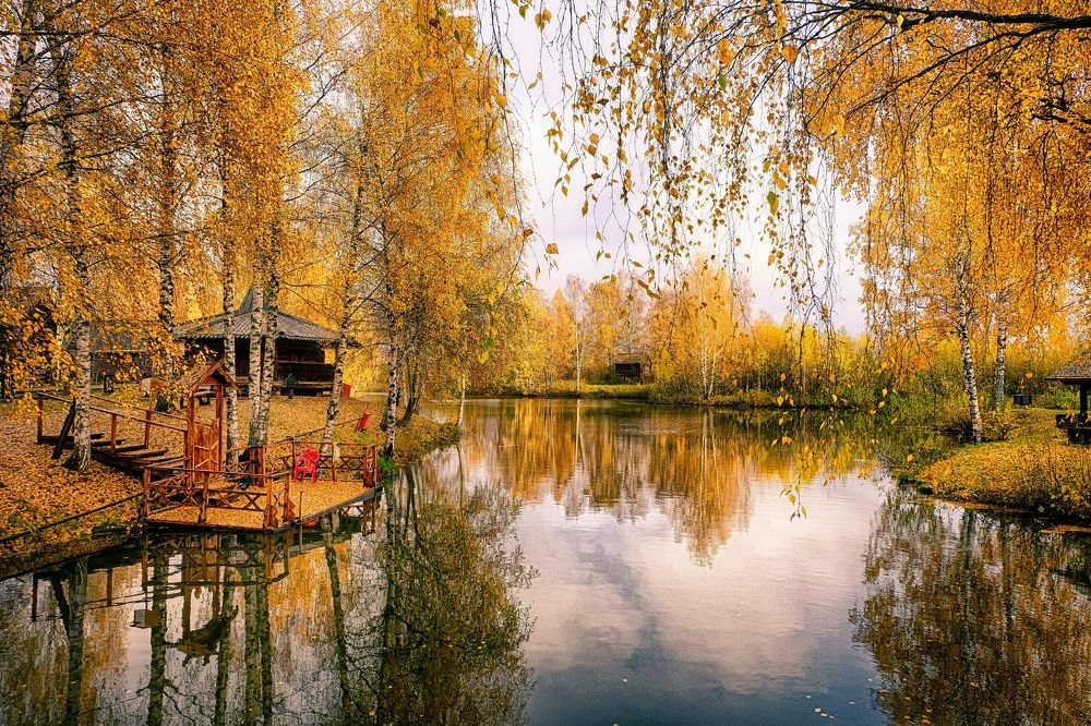 Ты на грусть мою похожа ,осень