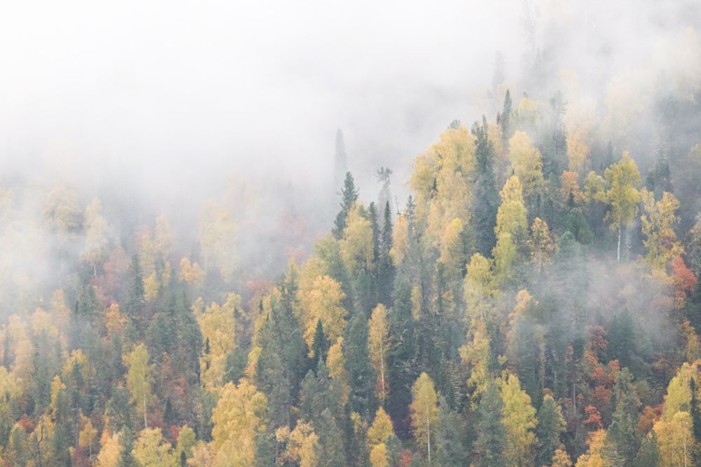 Photograph by Наталья Трифуз