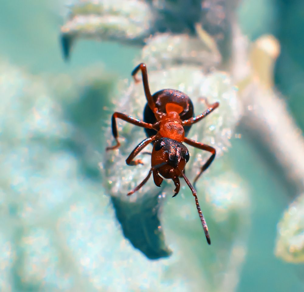 Photograph by Олег Зальвовский