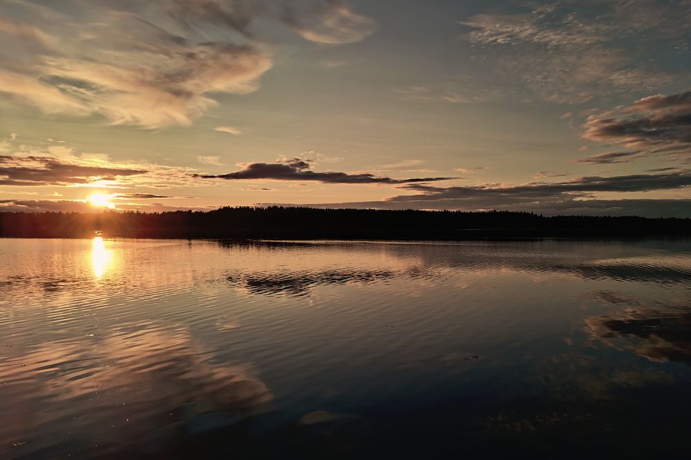Фотография автора Анатолий Дауров