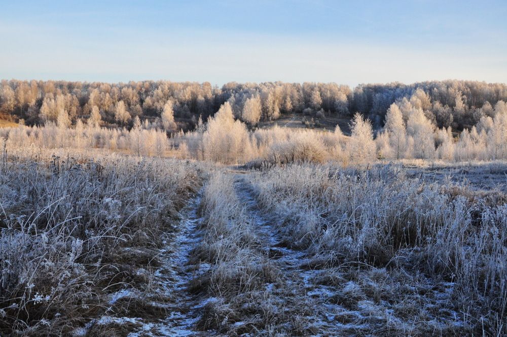 Photograph by Михаил Колосов