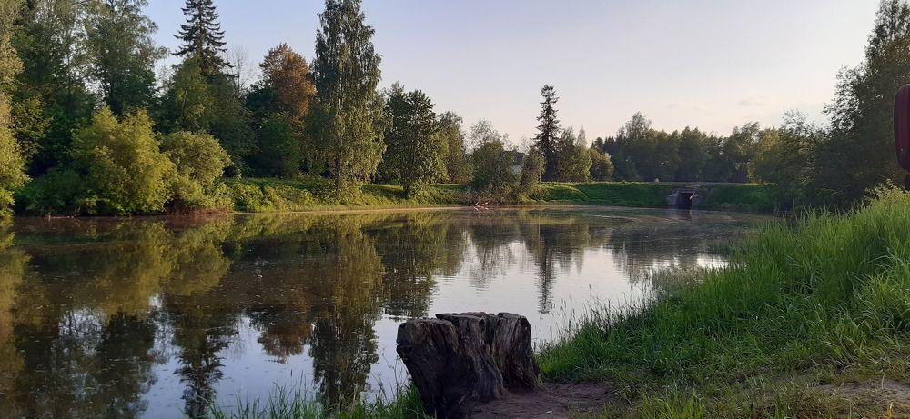 Photograph by Олеся Кузнецова