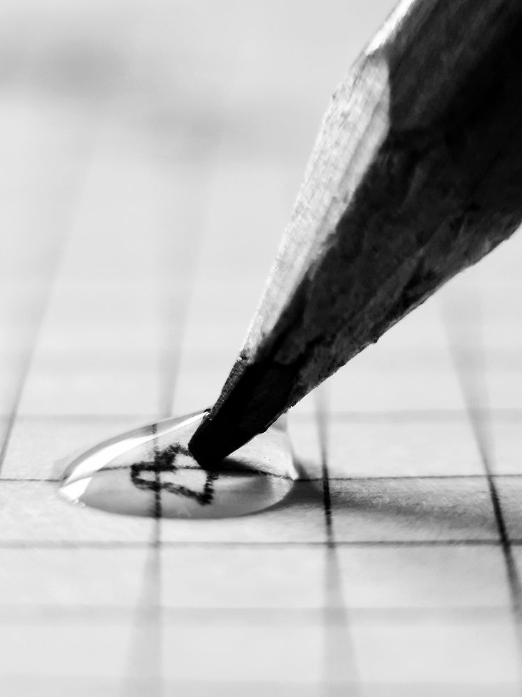 Photograph by Светлана Смирнова