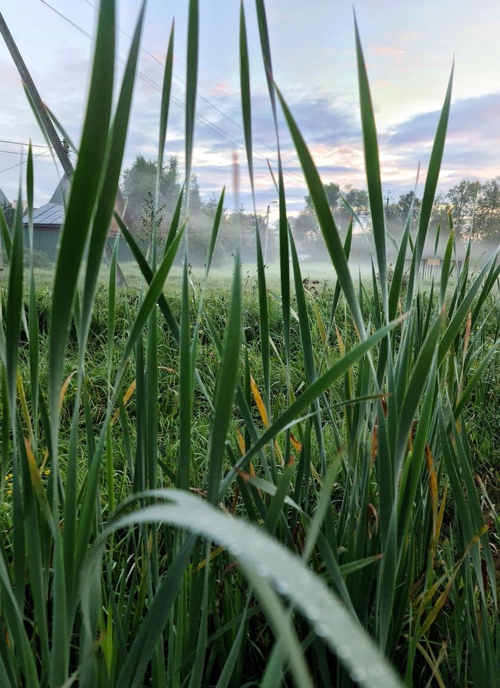 Photograph by Светлана Смирнова