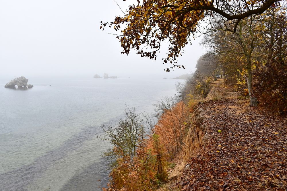 Photograph by Бахарева Людмила