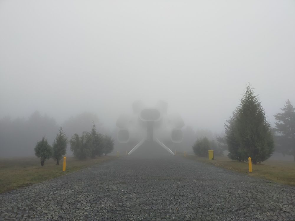 Памятник Короновирусу