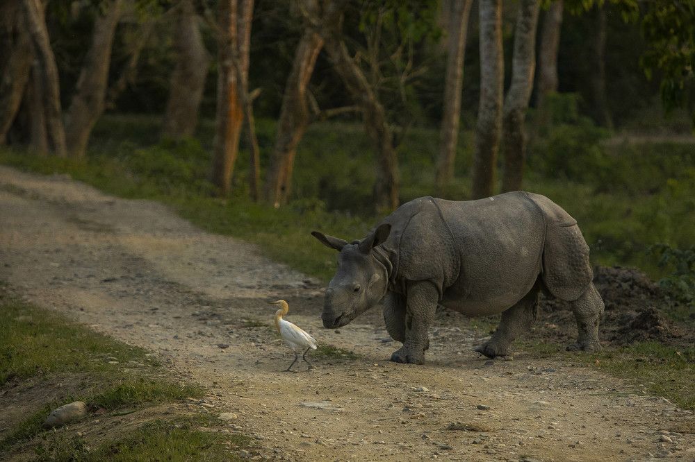 Photograph by Ajay A D