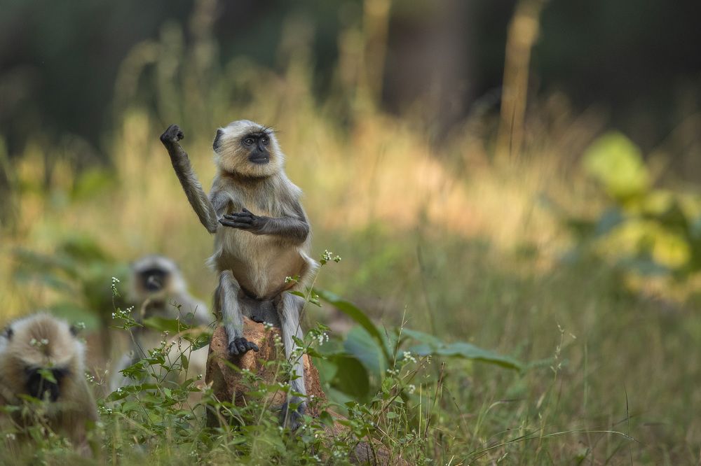 Photograph by Ajay A D