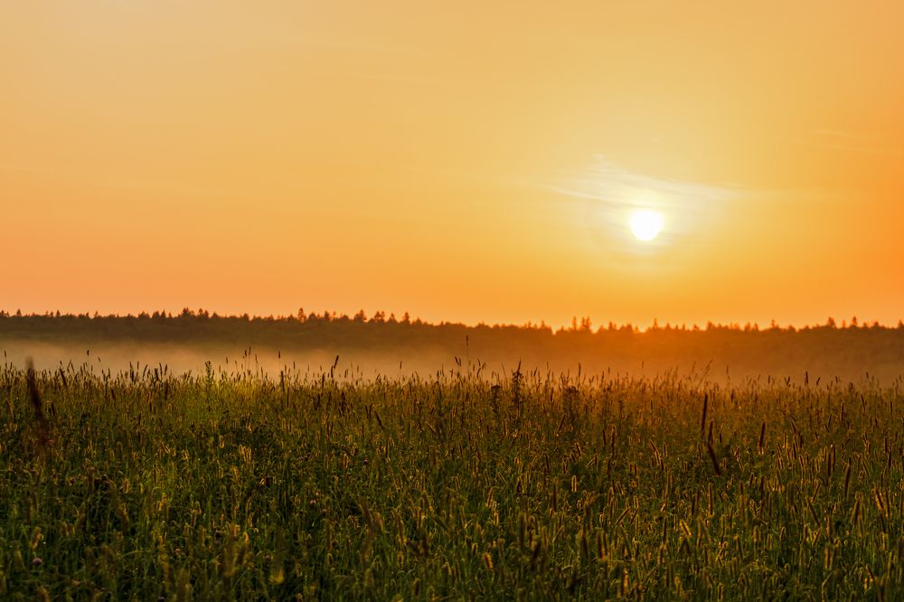 Photograph by Света Богоявленская
