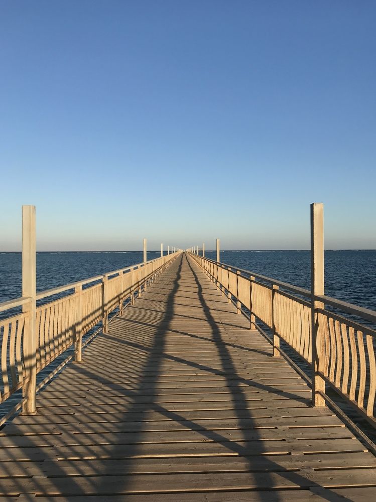 Photograph by Анар Амирова