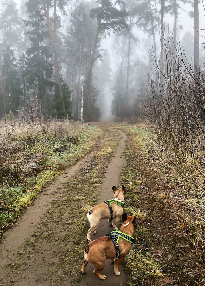 Photograph by Ирина Назарова