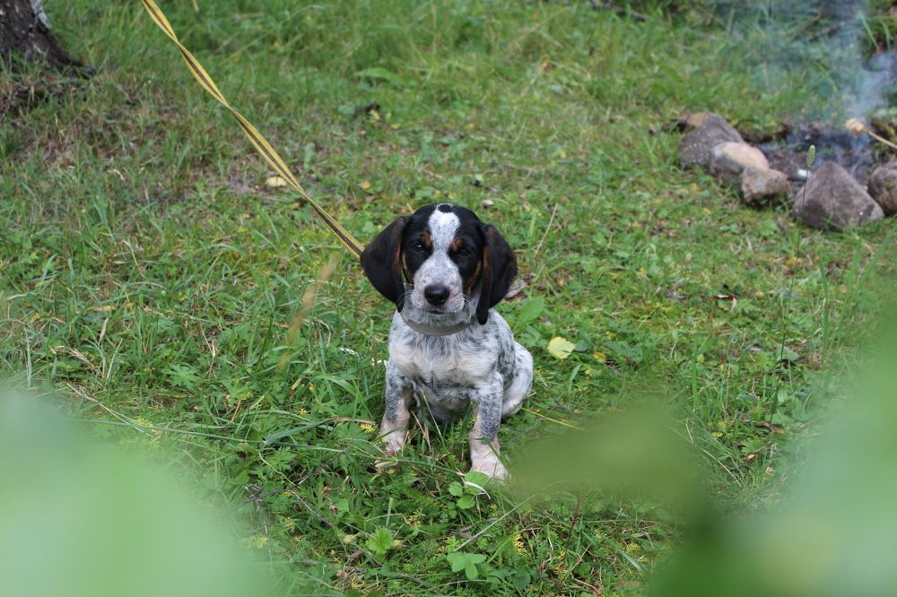 Photograph by СТЕПАН ДЖУЛАКИДЗЕ