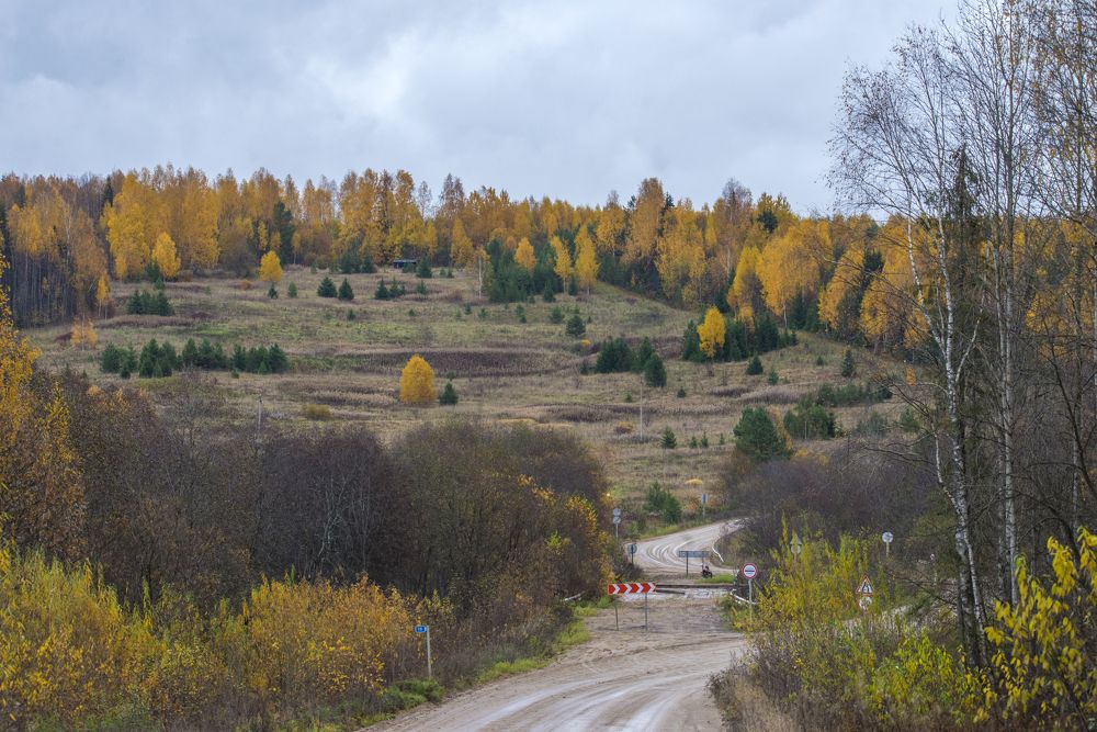 Photograph by Николай Лысцев