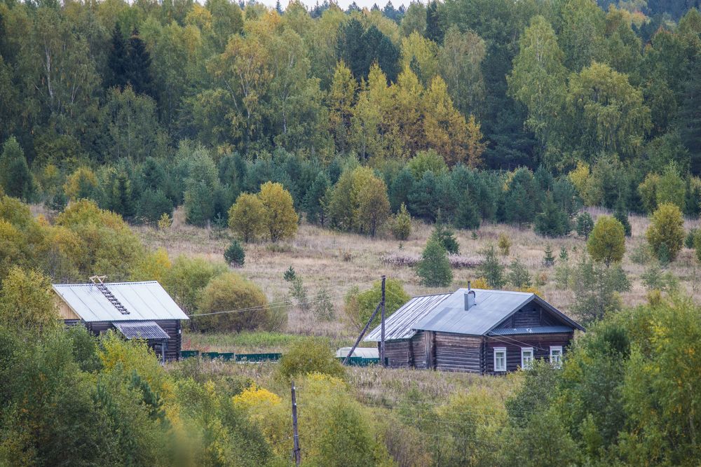 Photograph by Николай Лысцев