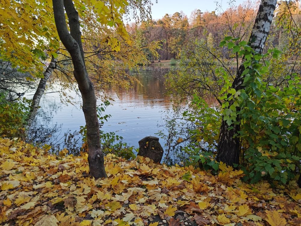 Photo #6712835