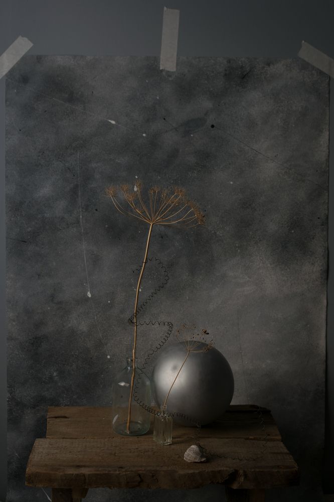 Фотография автора Светлана Бобошина