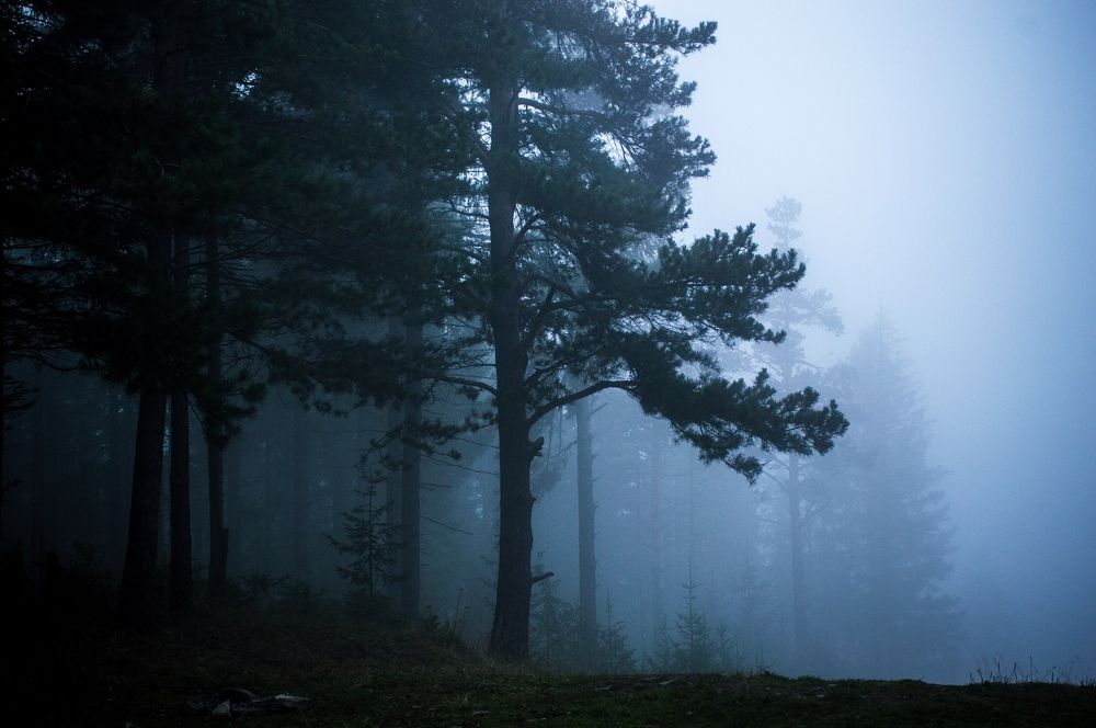 Photograph by Дмитрий Потатуев