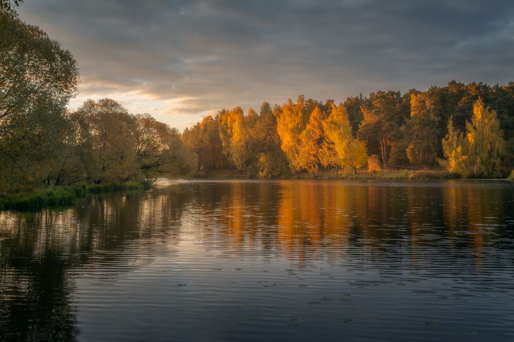 Фотография автора Мартыненко Дмитрий