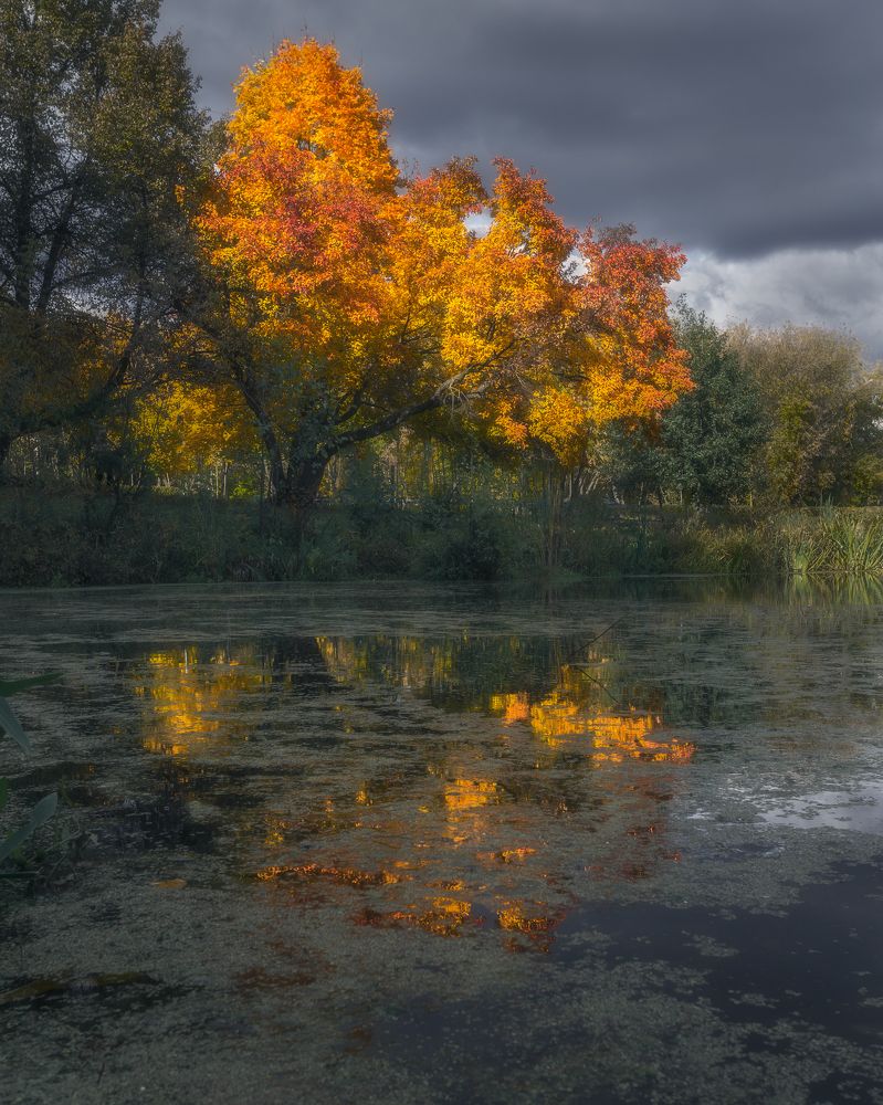 Фотография автора Мартыненко Дмитрий