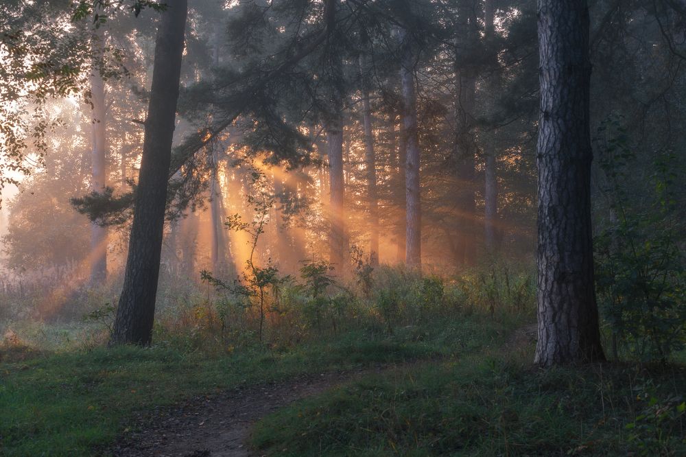 Фотография автора Мартыненко Дмитрий