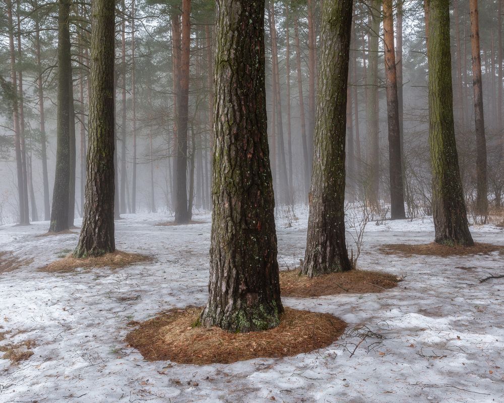 Фотография автора Мартыненко Дмитрий