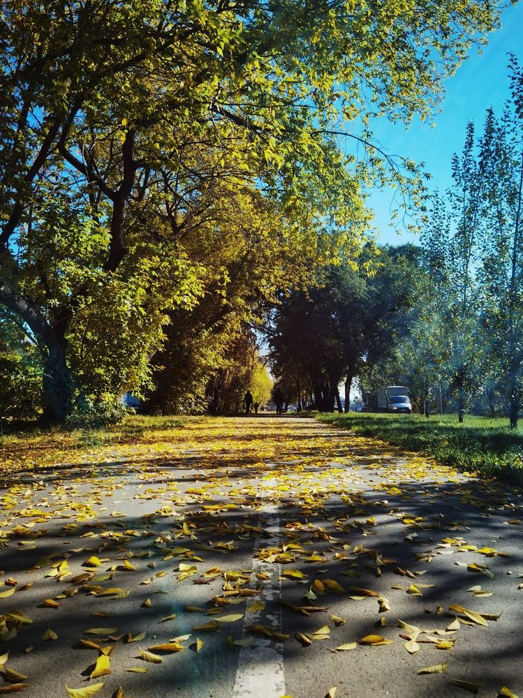 Photograph by Роман Шабан