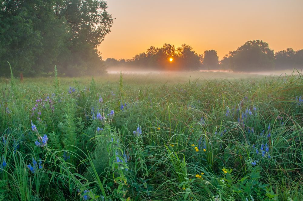 Лучший рассвет лета