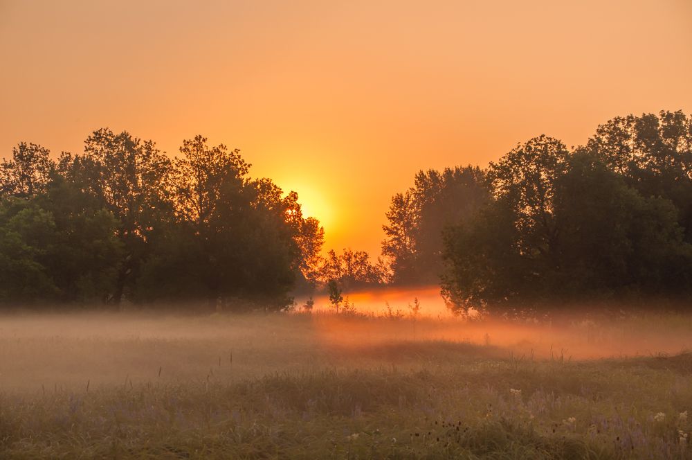 На рассвете