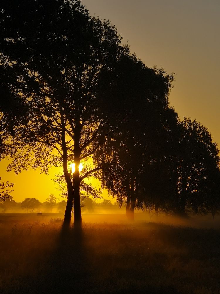 Photograph by Михаил Жарский