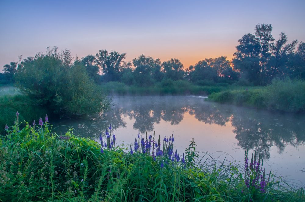 Летней ночью на реке