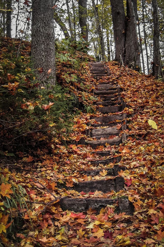 Photograph by Sergejs Barkans