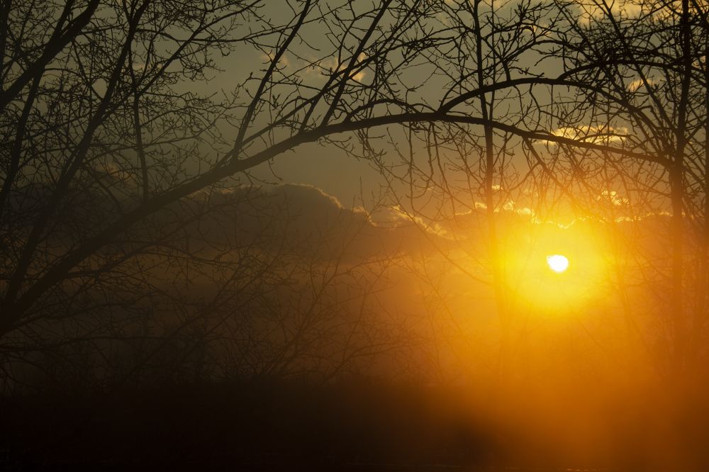 Photograph by Игорь Кутний