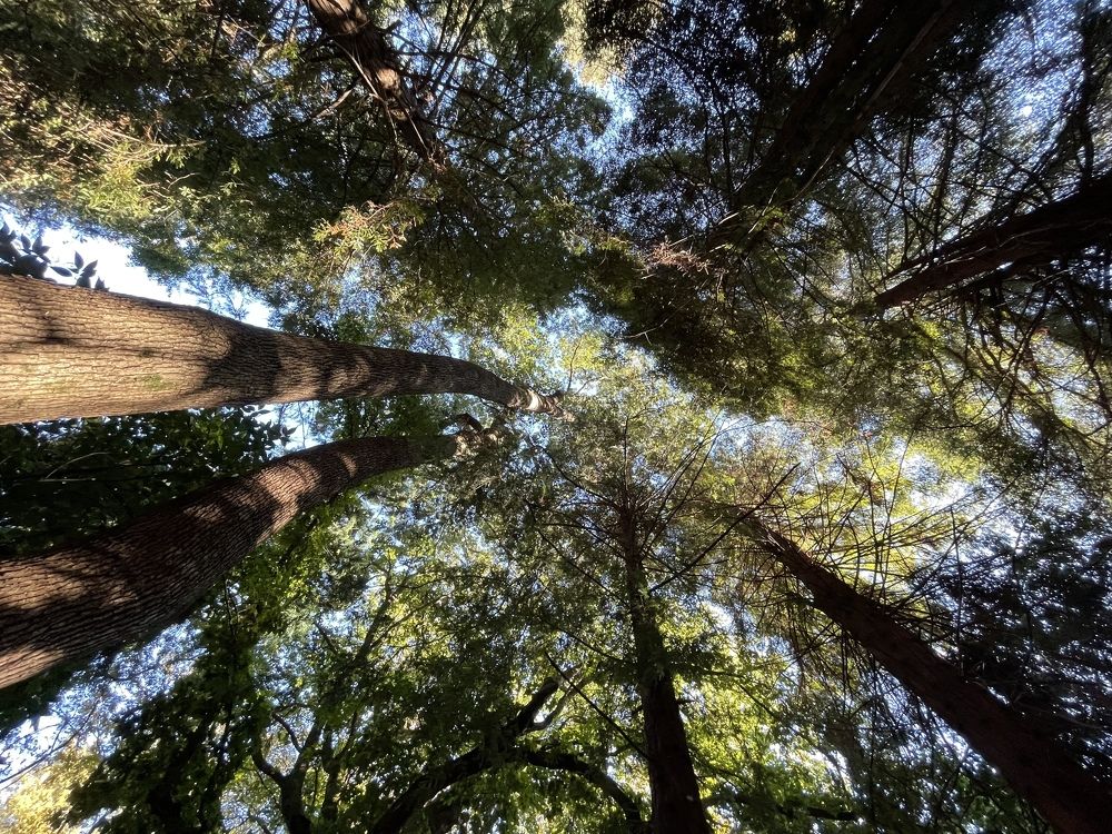 Photograph by Артëм Антонов